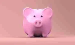 piggy-bank